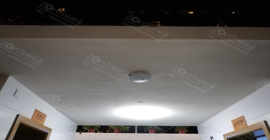 【中期科技ZONTREE】智慧公廁黑科技：人流量監(jiān)測器