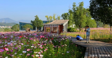 公園景區(qū)智慧公廁怎么建？旅游智慧廁所有什么功能？@ZonTree中期